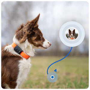 MiniFinder Atto Pro GPS Tracker for Dogs and Cats