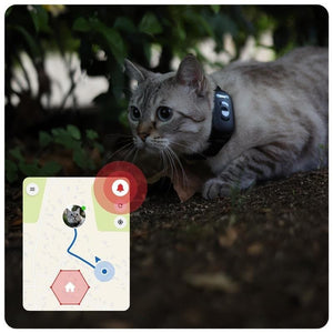 MiniFinder Atto Pro GPS Tracker for Dogs and Cats