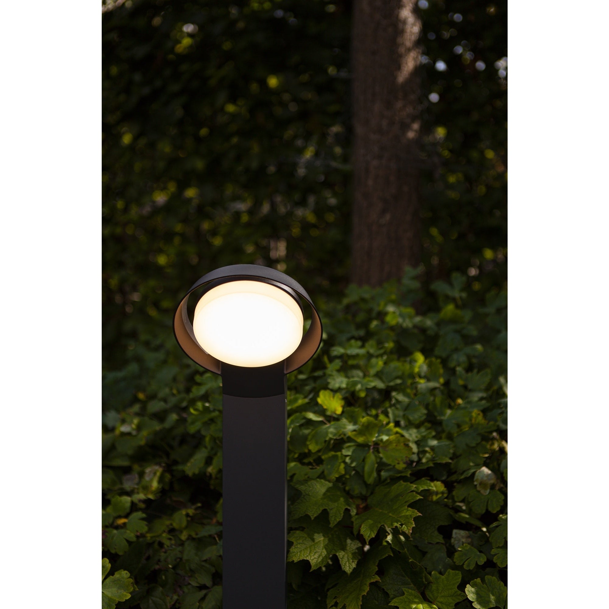 Lutec Polo Luminaire