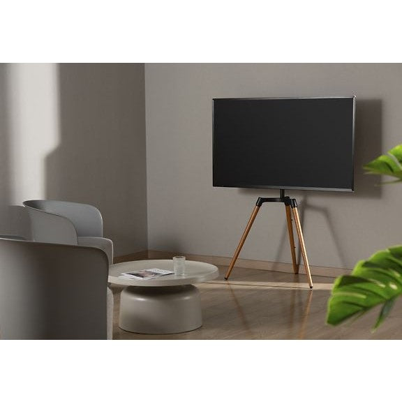 Mozi Art Series FS-4 Floor Stand for 50-65" TVs