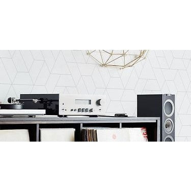 Belkin SoundForm Connect AirPlay 2 Audio Adapter, Black