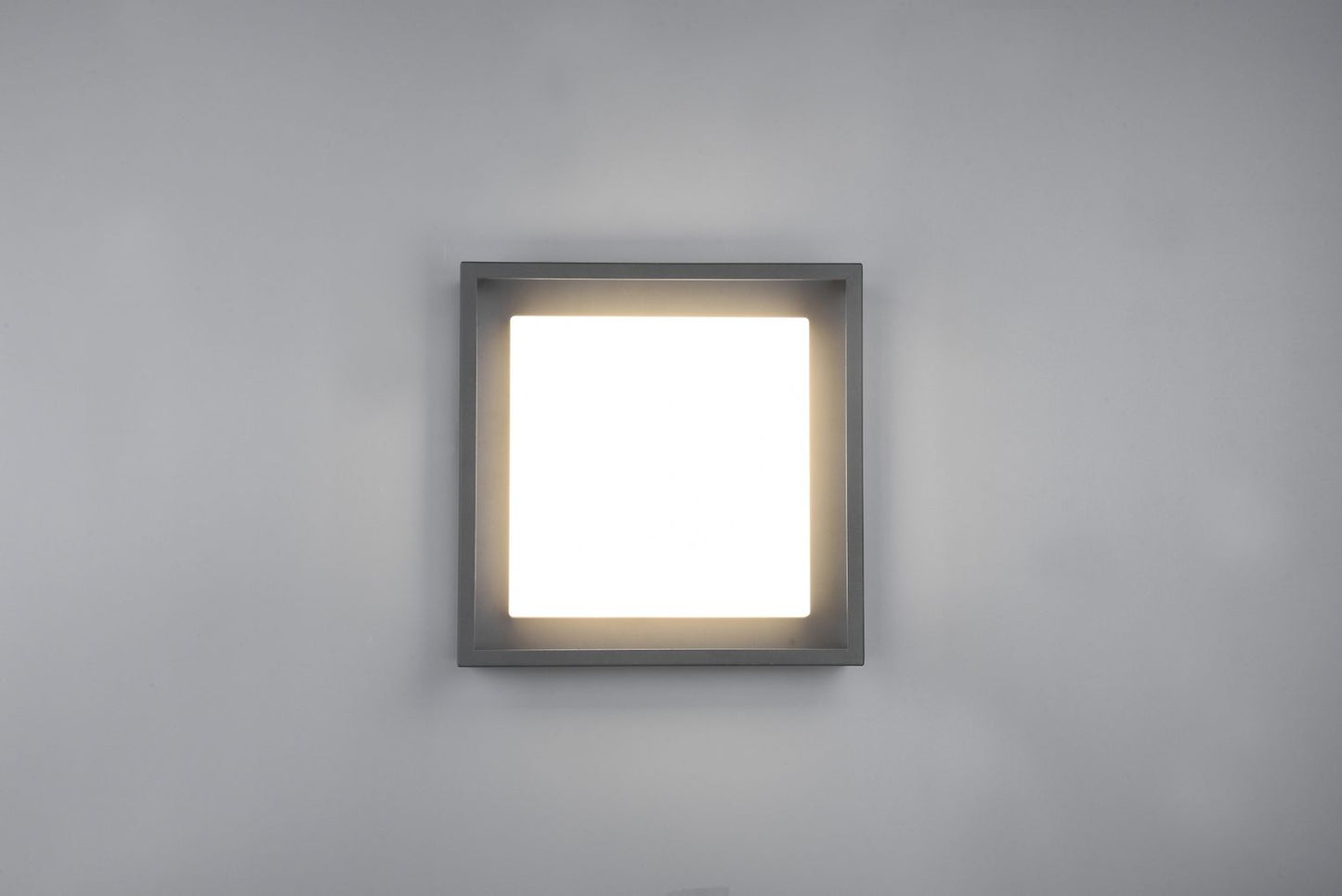 Trio Witham LED-tak utomhuslampa – Antracitgrå