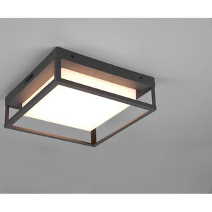 Trio Witham LED Ceiling Outdoor Lamp – Anthracite Gray