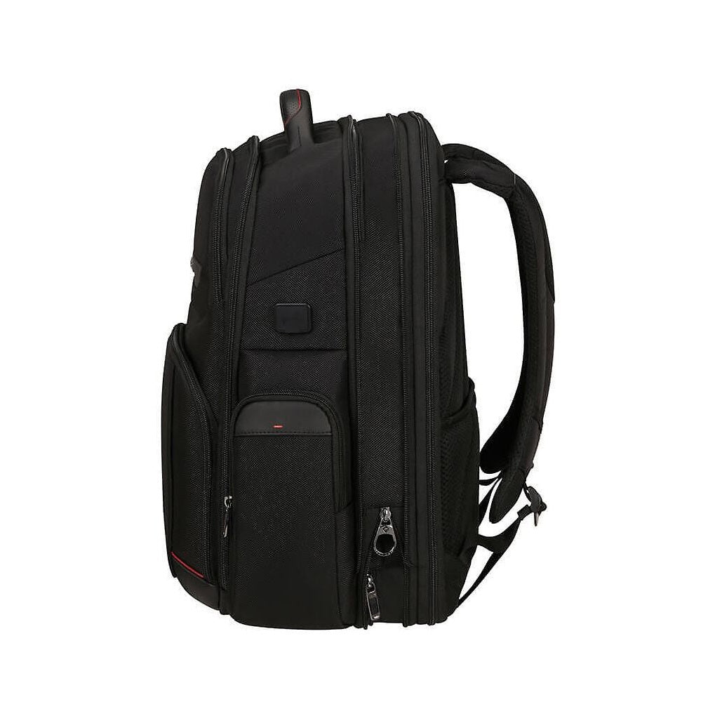 Samsonite PRO DLX6 17.3" Laptop Backpack, Black