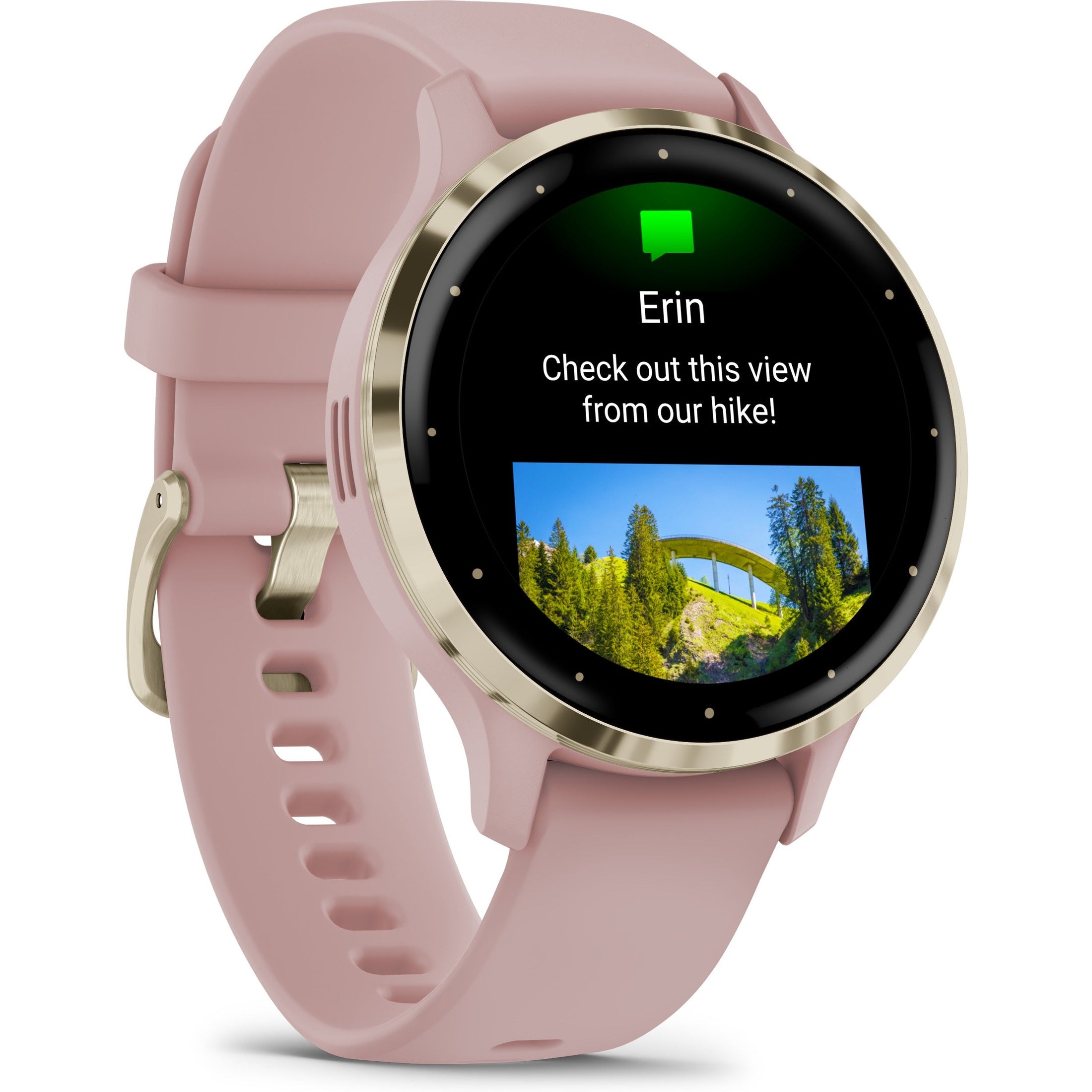 Garmin Venu 3S Pink