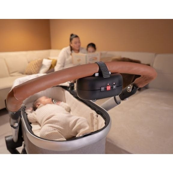 Zazu Robby the Baby Rocker