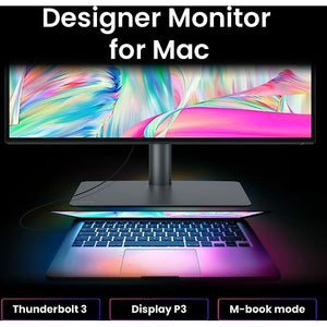 BenQ DesignVue PD3225U 32" 4K Monitor