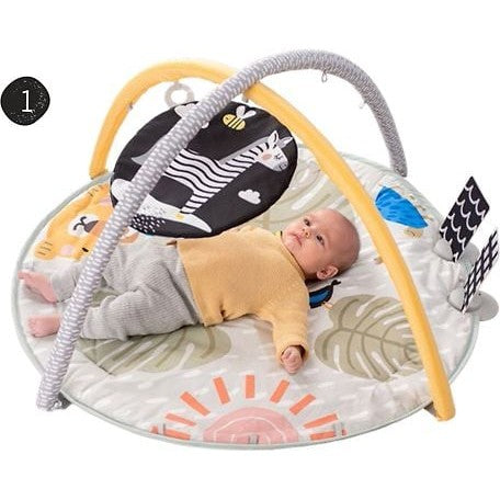 Taf Toys Savannah 360 Baby Activity Gym