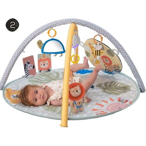 Taf Toys Savannah 360 Baby Activity Gym