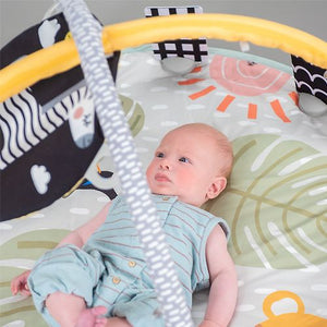 Taf Toys Savannah 360 Baby Activity Gym