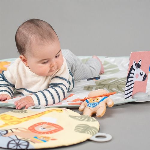 Taf Toys Savannah 360 Baby Activity Gym