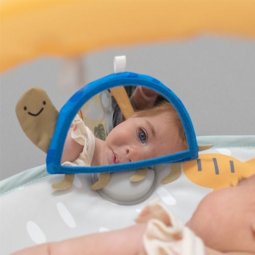 Taf Toys Savannah 360 Baby Activity Gym