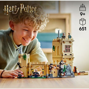 LEGO Harry Potter 76447 – Hogwarts Castle: Flying Lessons