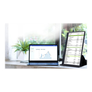 ASUS ZenScreen MB166C Portable Monitor 15'6¨