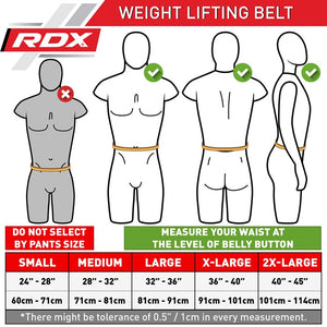 RDX 4" WBS-4RB Weightlifting Belt, M, gold/black