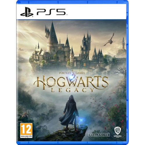 Sony PS5 Hogwarts Legacy game