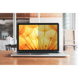 3M Privacy Filter for MacBook Pro 13" 16:10