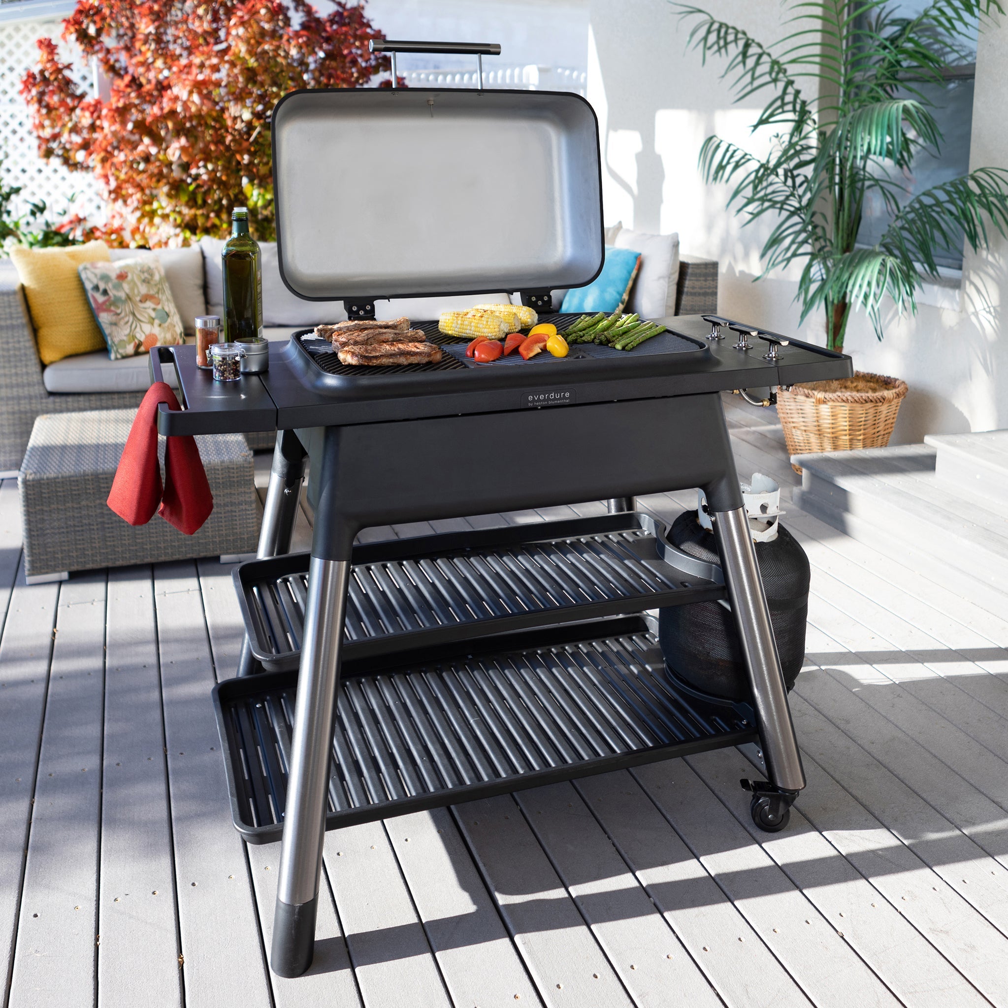 Everdure Furnace gas grill, Stone Steen