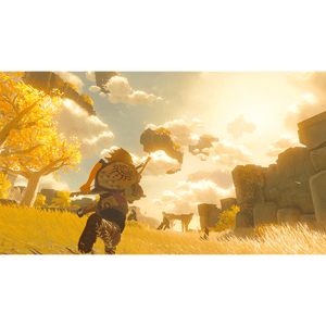 Nintendo Switch The Legend of Zelda: Tears of the Kingdom Game
