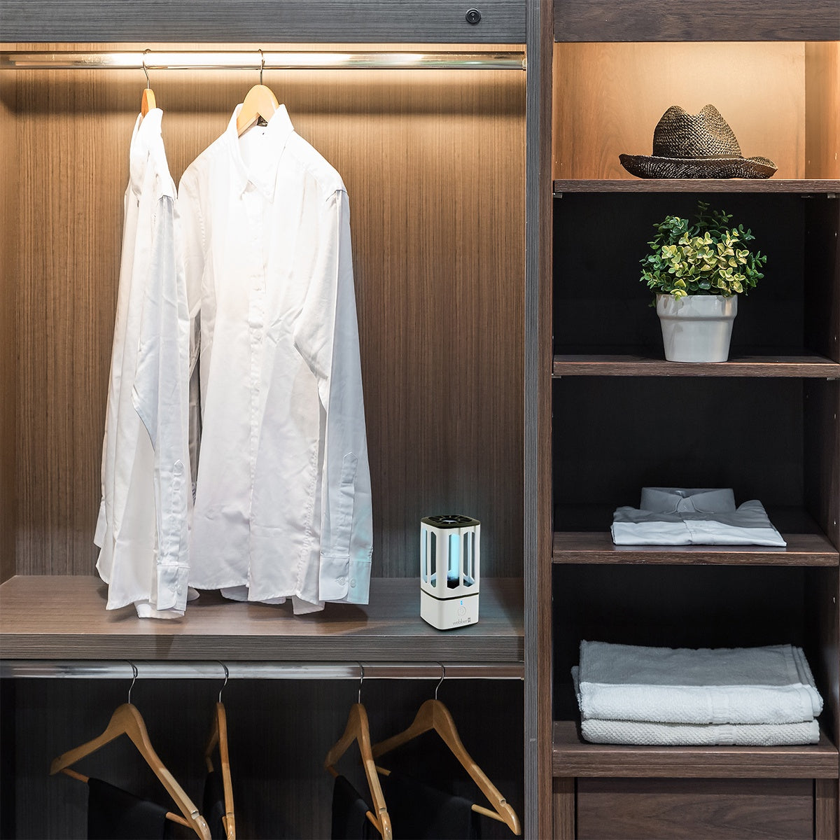 Portable UV-C sterilization lamp Webber