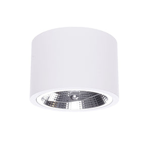 Luminaire Ceiling Light Prestige Camino LP-1101/1SM, 9 W