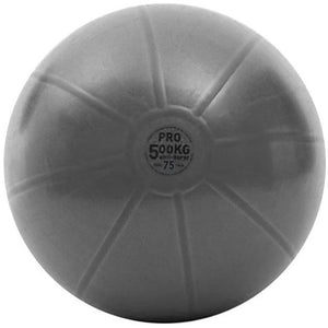 Gymnastics Ball Toorx PRO AHF 10773125, Grey, 75 cm