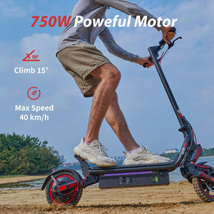 iScooter W8 750W Off-road Electric Scooter, Max Speed 40km/h