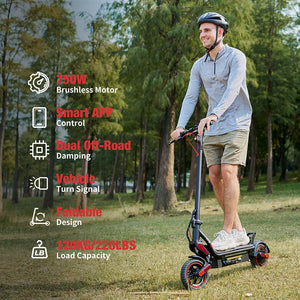 iScooter W8 750W Off-road Electric Scooter, Max Speed 40km/h