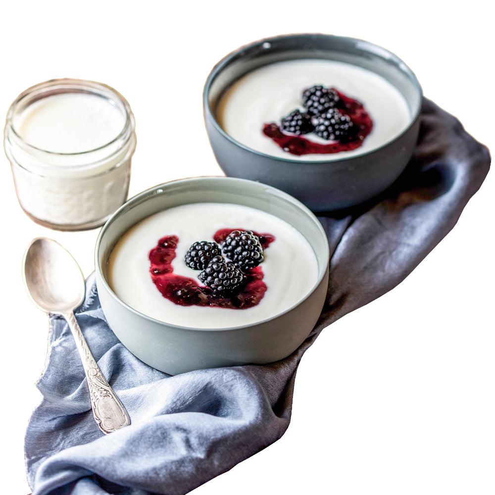 Rommelsbacher Yogurt & Cream Cheese Maker JG 80 Jona, Black/Silver