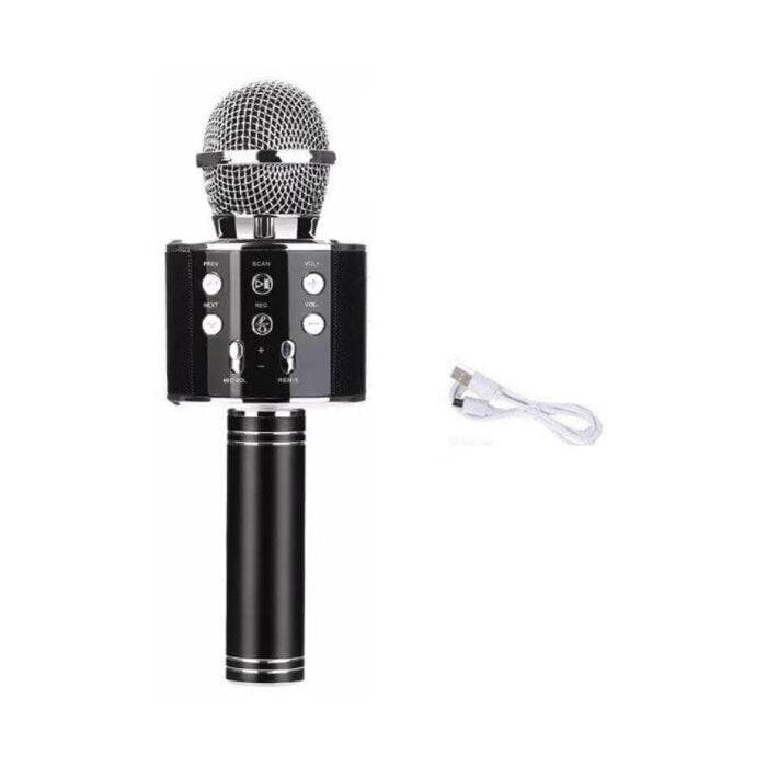 Karaoke Microphone, WS-858