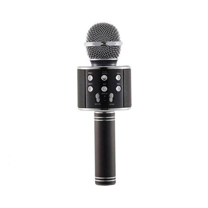 Karaoke Microphone, WS-858