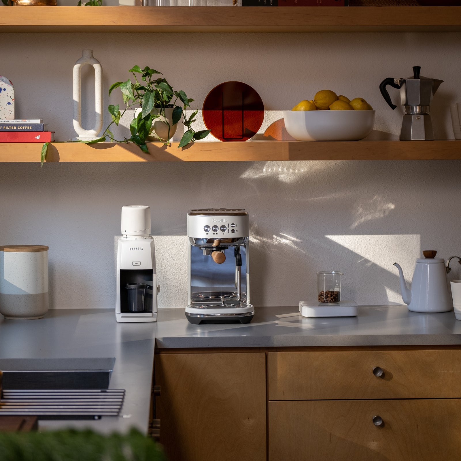 Baratza Encore ESP Coffee grinder White