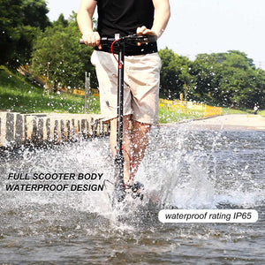 Aovopro ES80 Foldable Electric Scooter